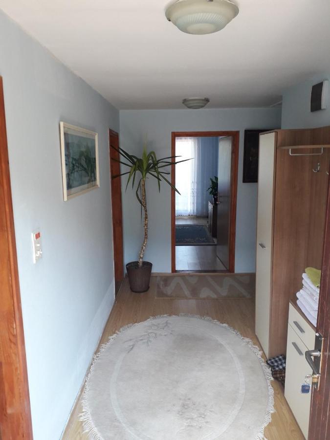 Prenociste Vitas Acomodação com café da manhã Miljevina Exterior foto