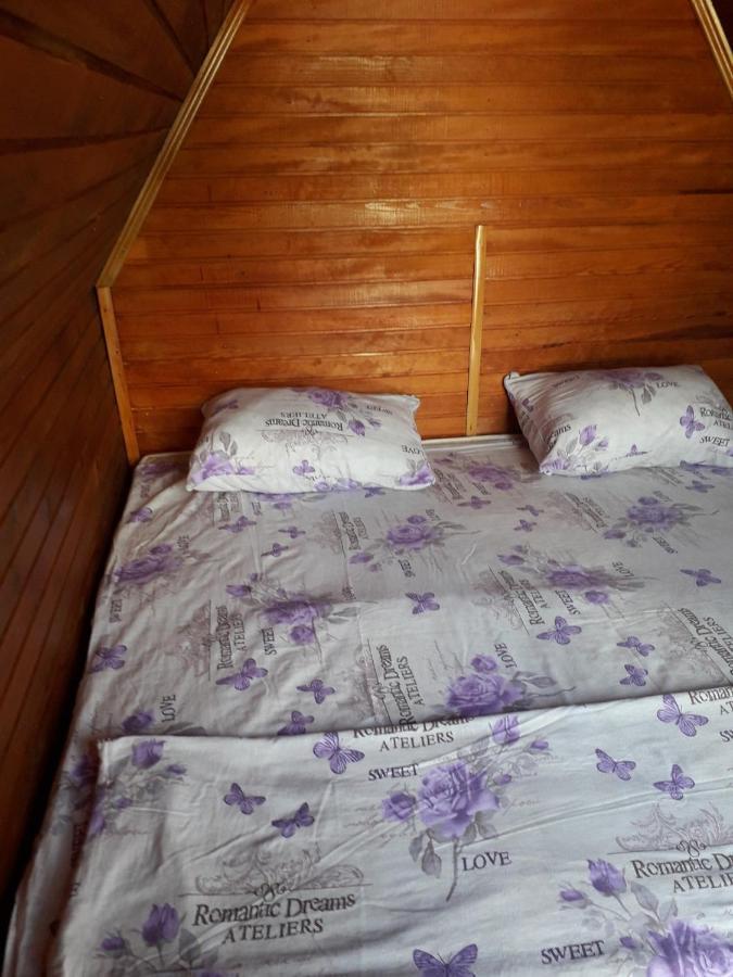 Prenociste Vitas Acomodação com café da manhã Miljevina Exterior foto